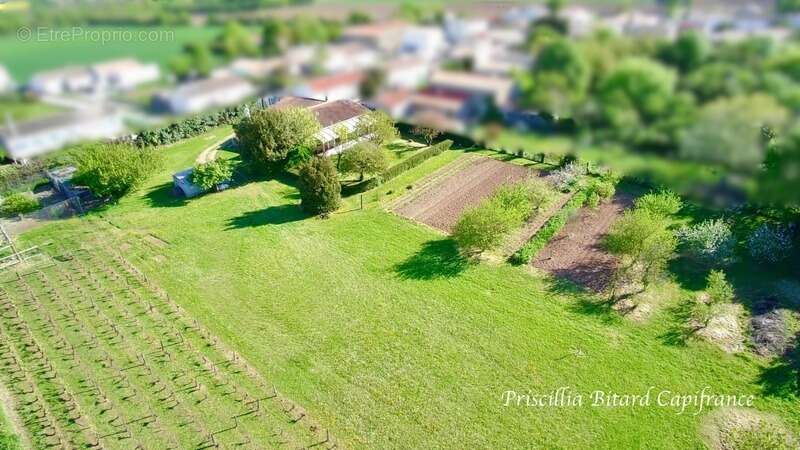 Maison à AIGREFEUILLE-D'AUNIS