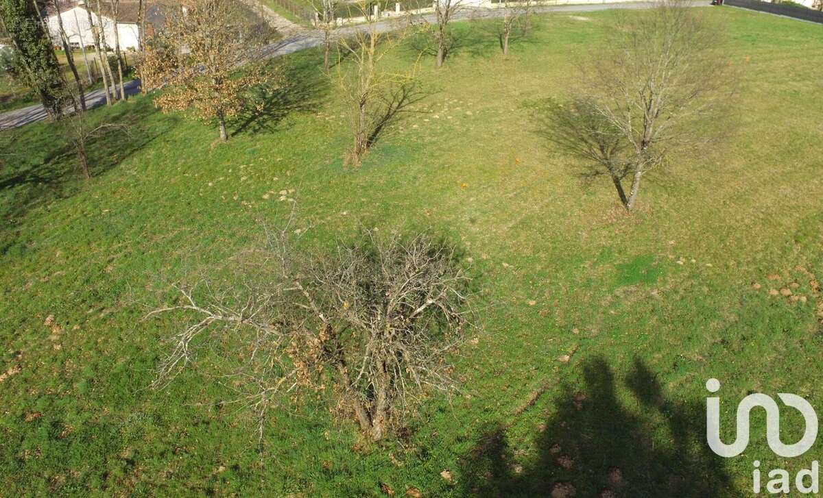 Terrain 1032 m² à Bressols  - photo 5