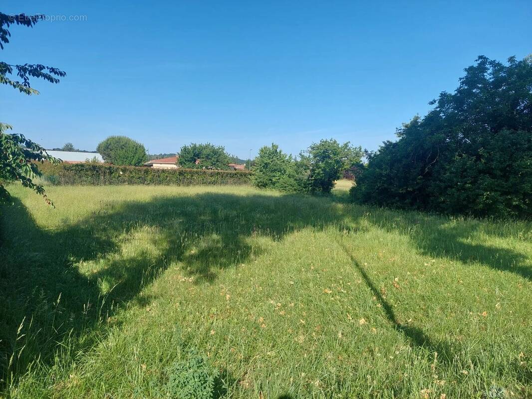 Terrain à MONTESQUIEU-VOLVESTRE
