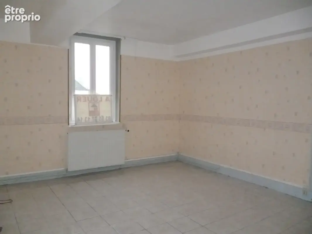 Verdun Ciel, Verdun sur le Doubs centre ville, 2 Appartements locatifs + grenier - photo 11