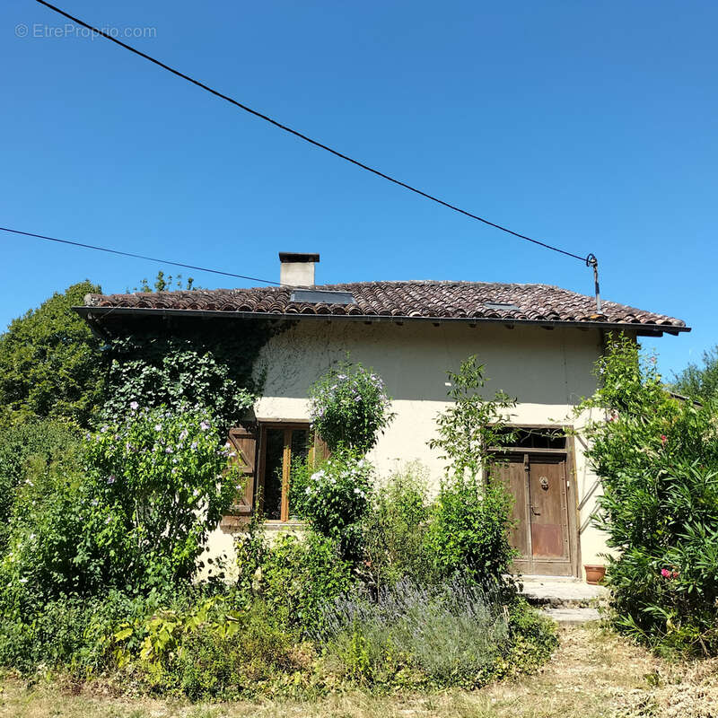 maison de campagne sur 4ha , 5 min de Simorre - photo 4