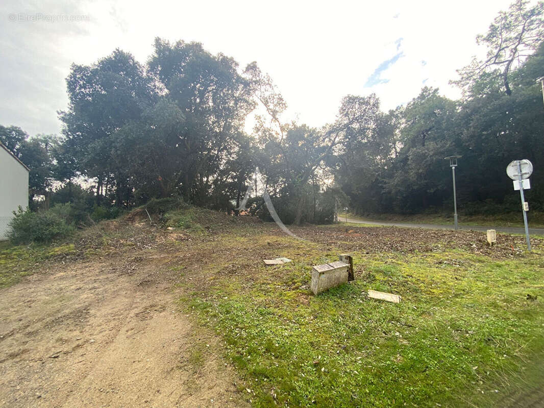 Terrain à LA TRANCHE-SUR-MER