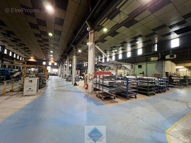 LOCAUX PRO de 5000m2 sur parcelle de 9000m2 - photo 2