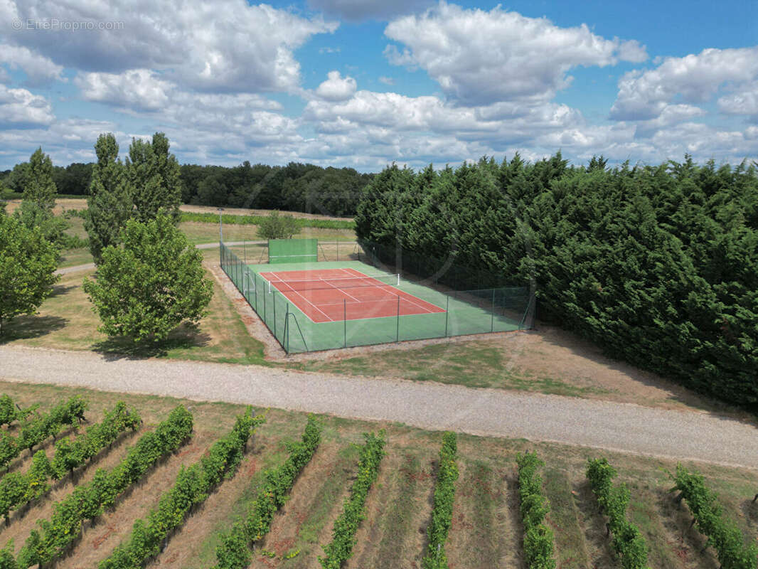 Élégant domaine viticole avec hébergements de vacances - photo 17