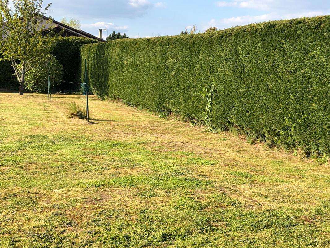 Terrain à MONTIGNAC