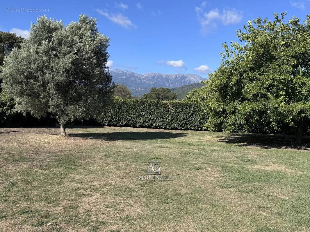 Terrain à PRUNELLI-DI-FIUMORBO