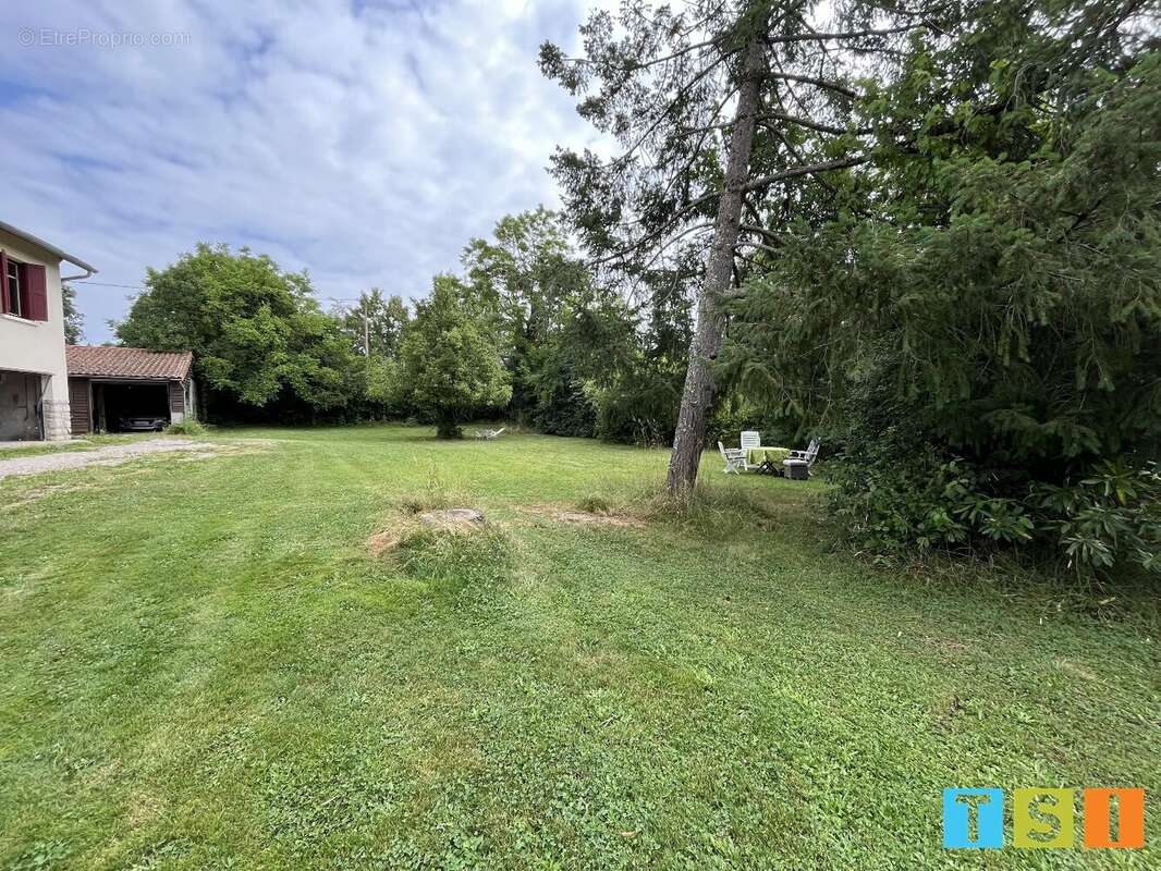 Maison à MONTREJEAU