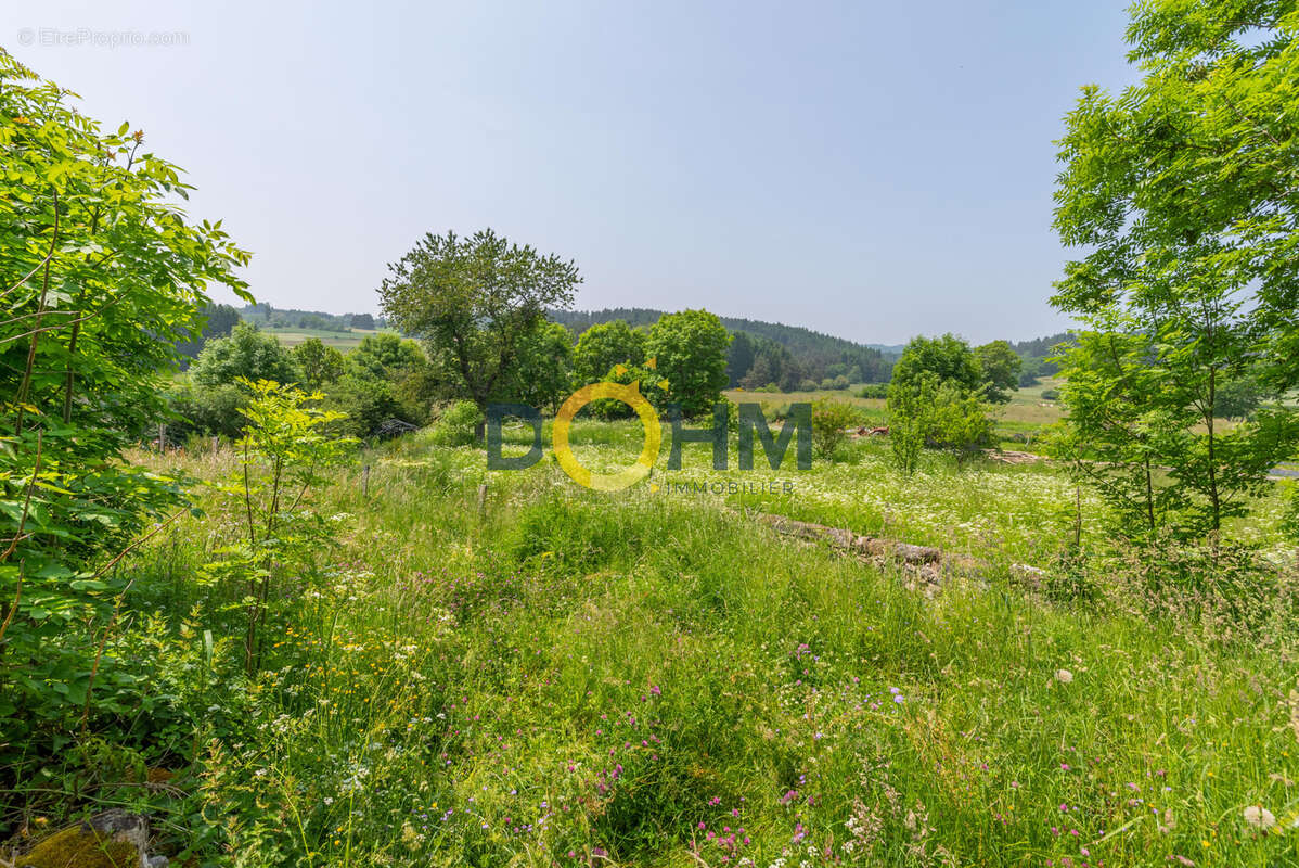 Charmante maison avec jardin arboré et dépendance - photo 13