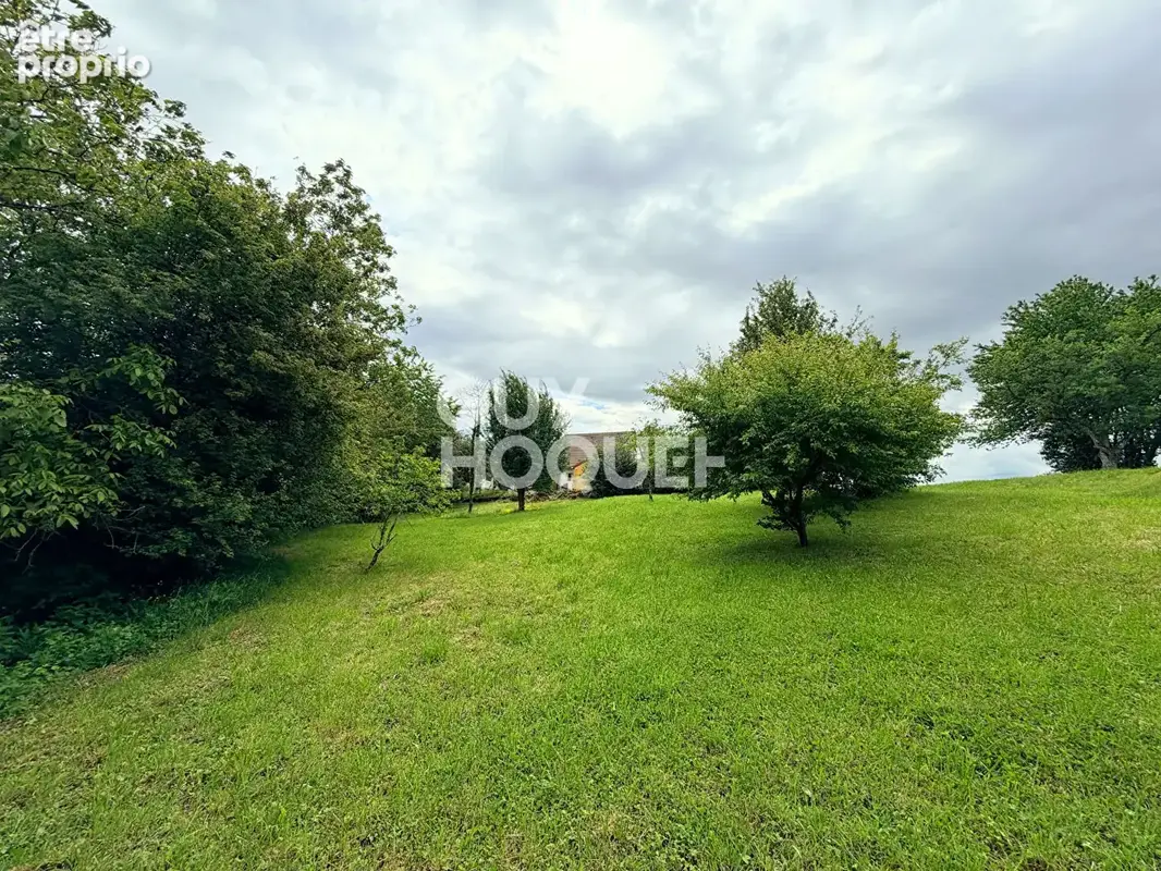 Terrain Chemaudin Et Vaux 3963 m2 - photo 3