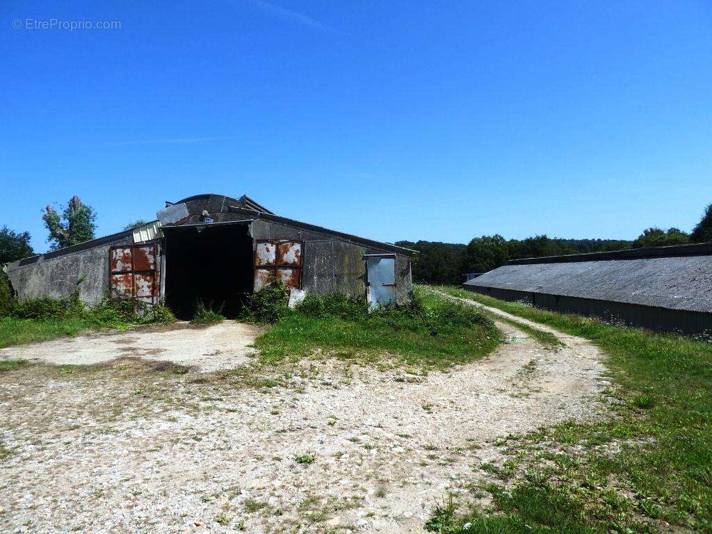 Exploitation agricole - photo 20
