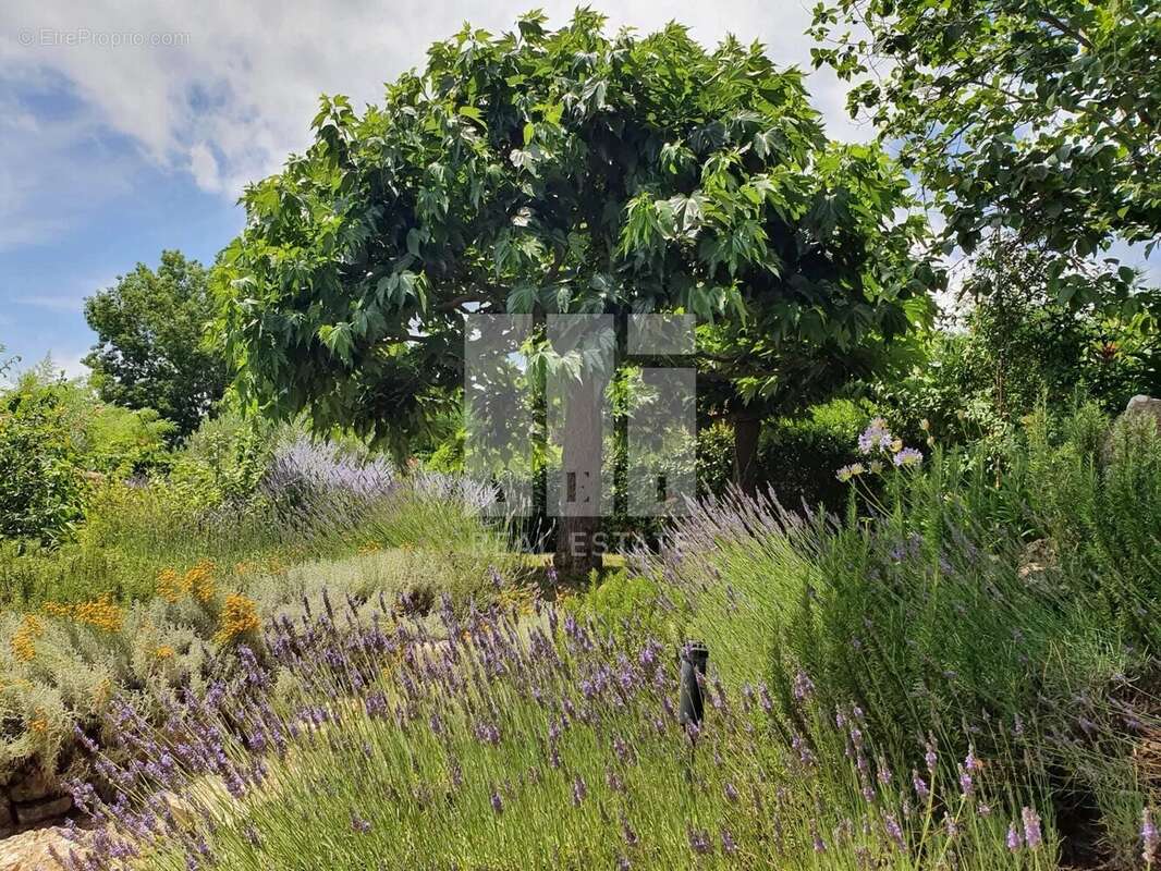 Maison à CHATEAUNEUF-GRASSE