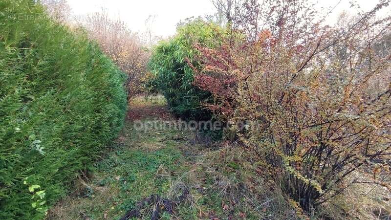 Terrain à MEZIERES-SUR-OISE