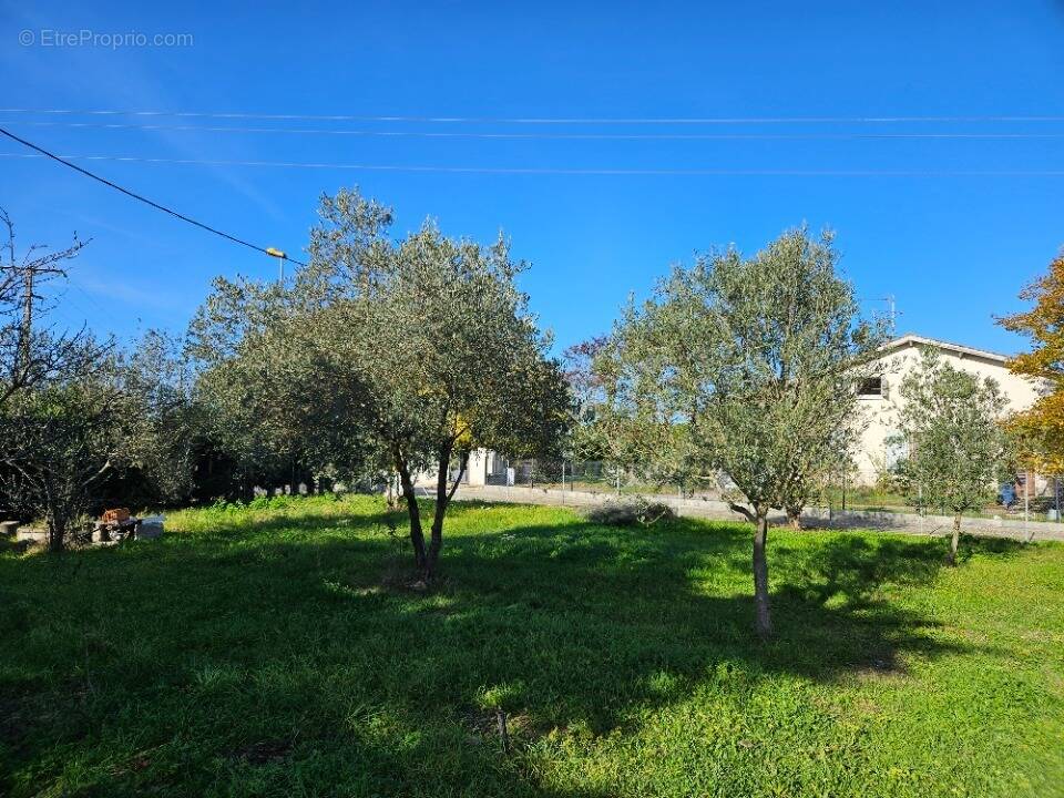 Terrain à VILLATE