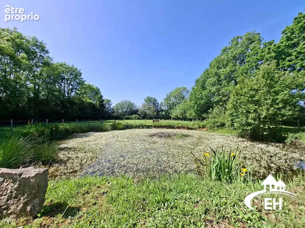 Maison de campagne sur 4 800 m² avec mare - photo 9