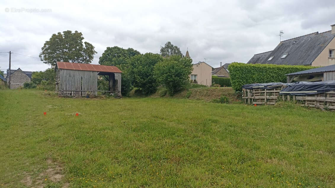 Terrain à PLAINE-HAUTE