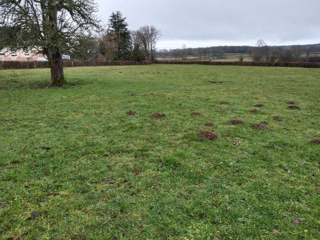 Photo 7 - Maison à AUTUN