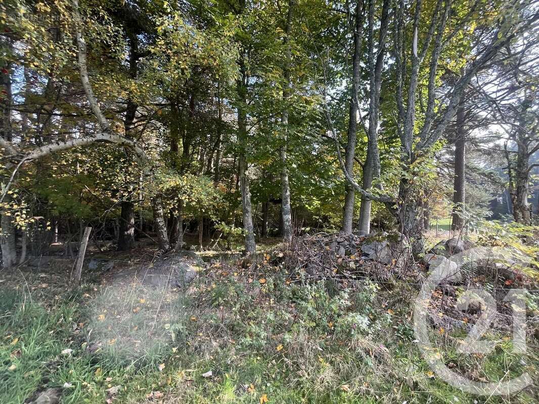 Terrain à BURDIGNES