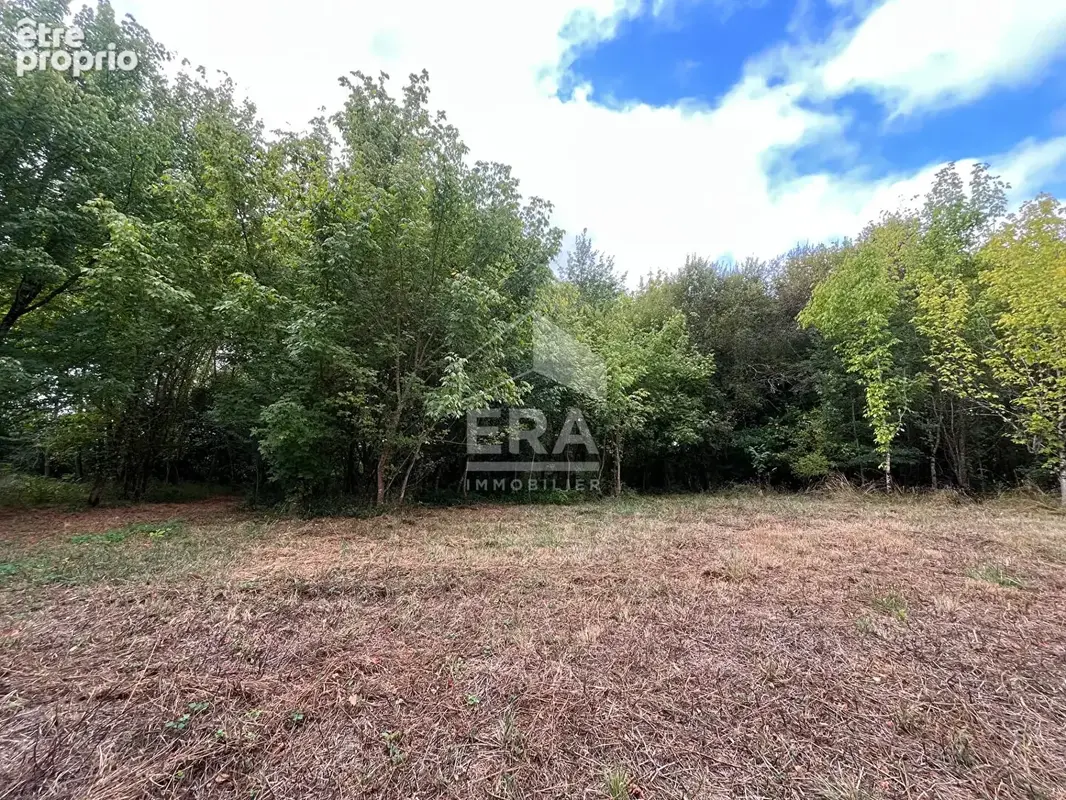 Maison de ville 163m² à cazaubon - photo 17