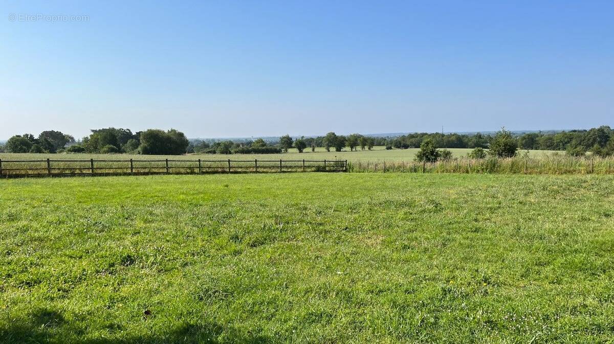 Terrain à THOUARE-SUR-LOIRE