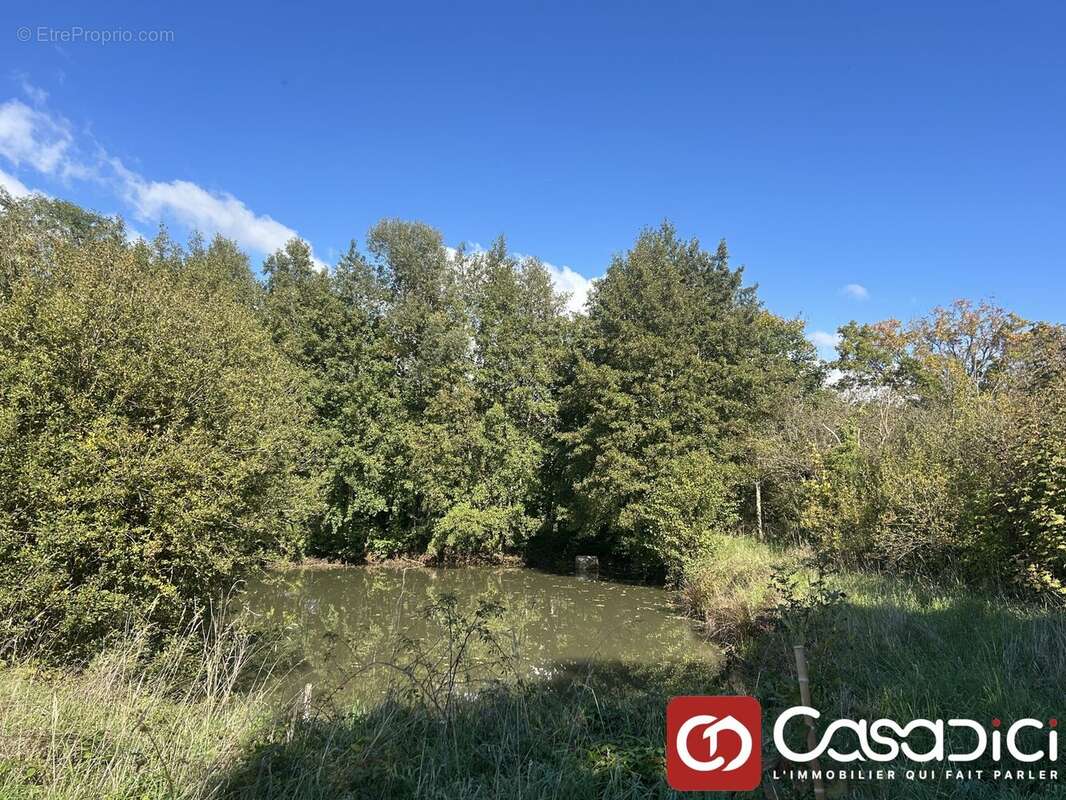 Terrain à DECIZE