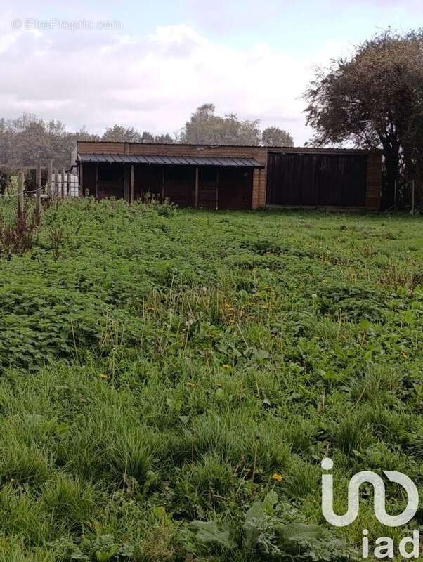 Photo 4 - Maison à ZUTKERQUE