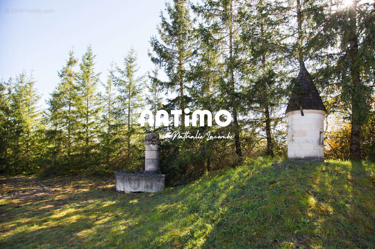 Commerce à BAIGNEUX-LES-JUIFS