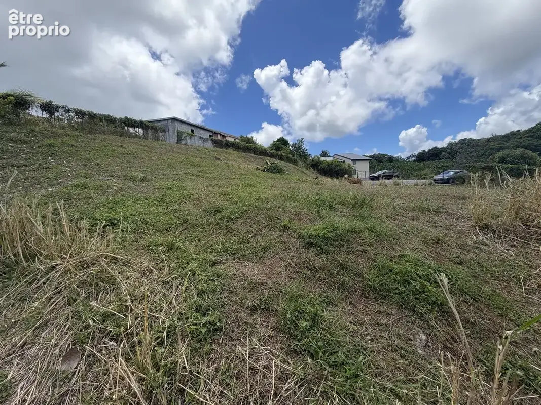 Terrain 940 m² à vendre à La Trinite (97220) - photo 5