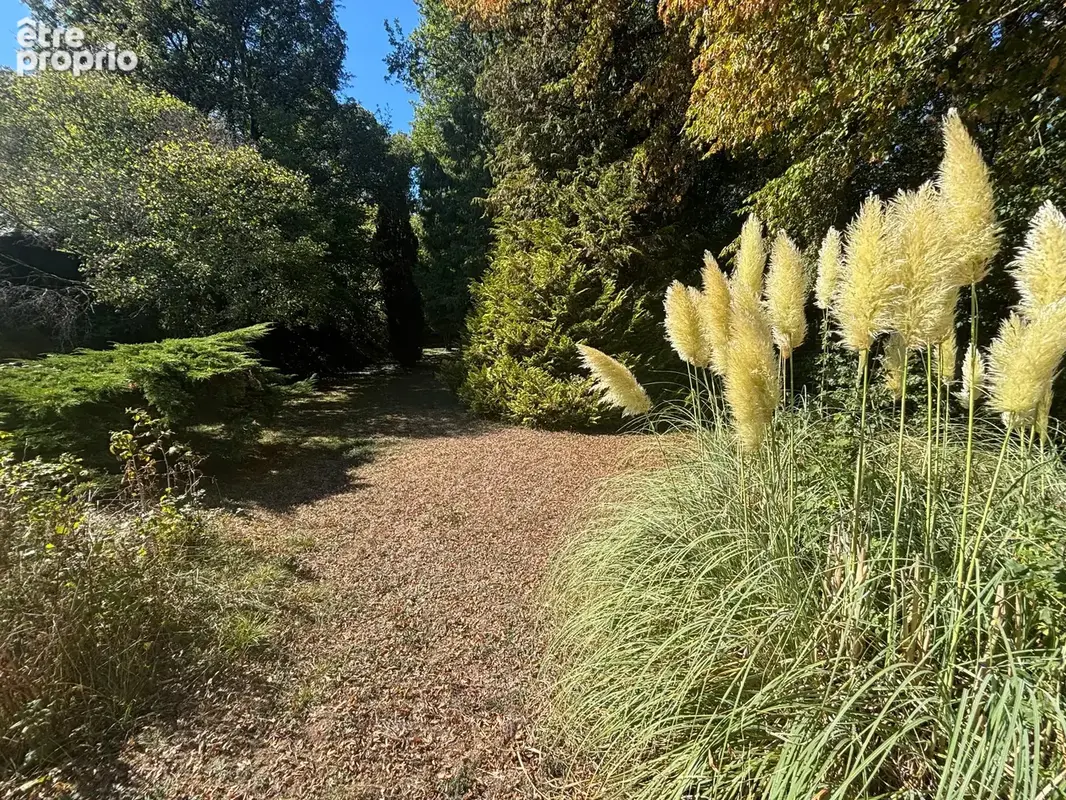 Maison à vendre 5 pièces SAINT PRIVE (89) avec grand terrain arboré de 3 889 m² – Calme et nature - photo 10