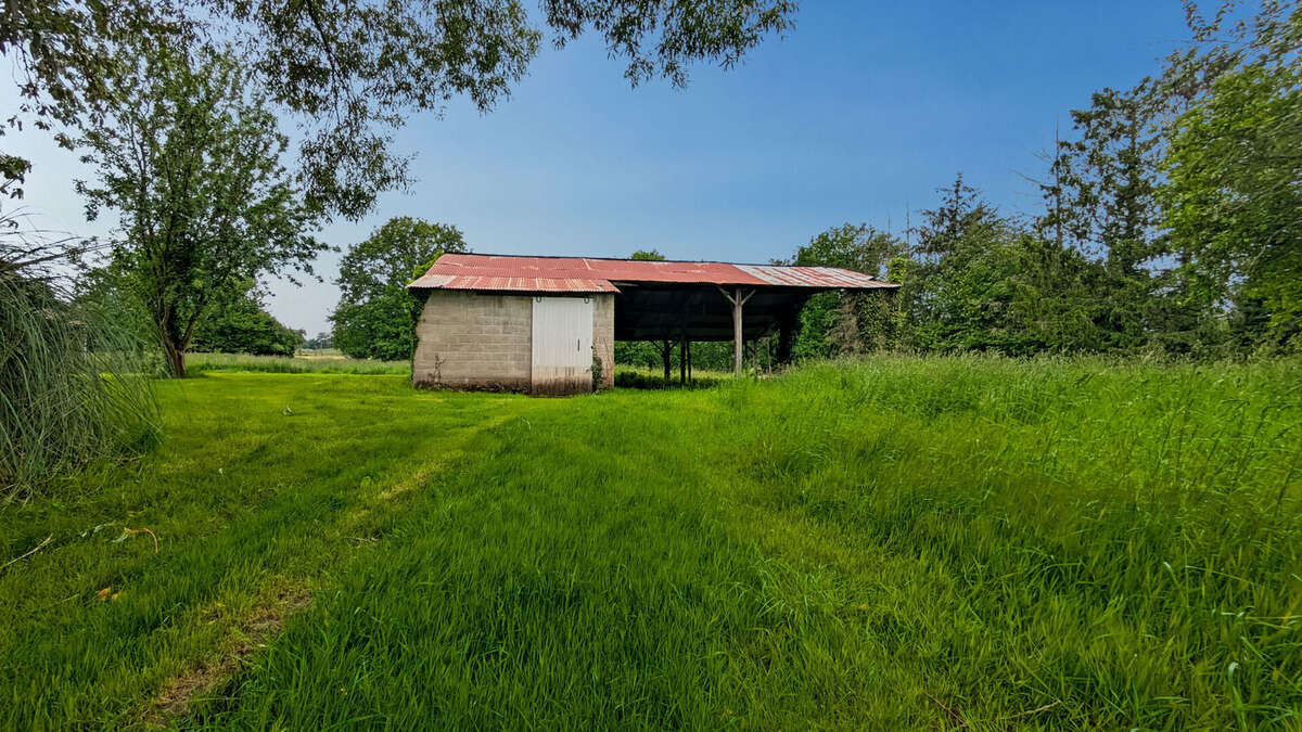 Ensemble immobilier 2 maisons hangar terrain 2753 m² Dingé - photo 14