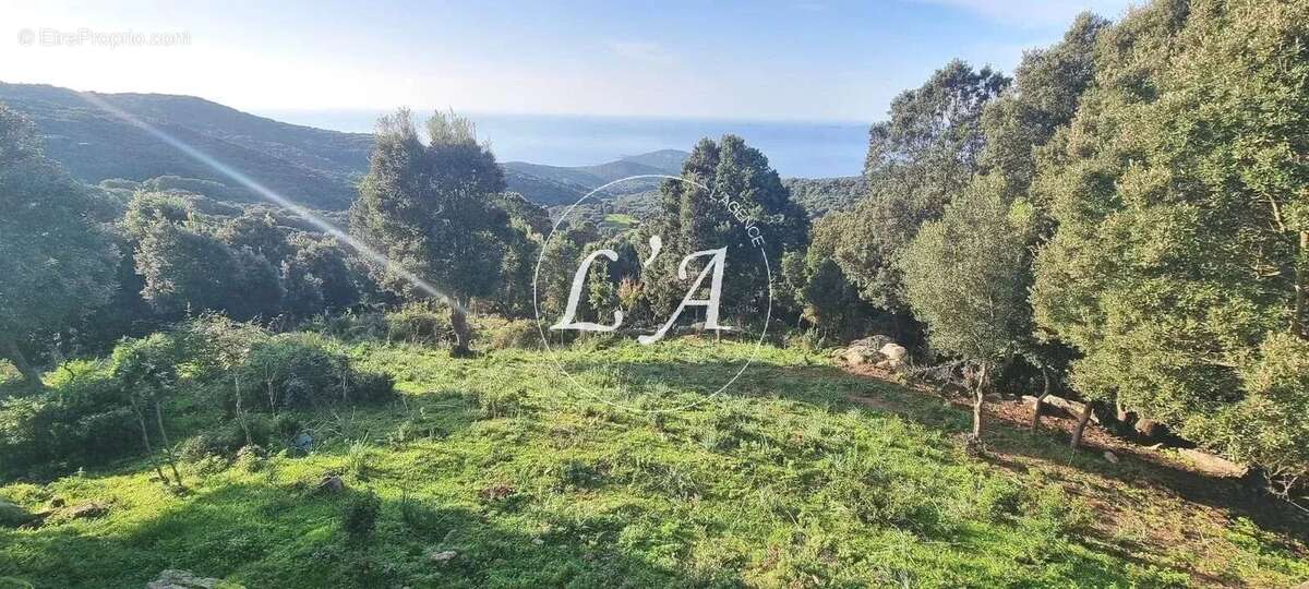 Terrain à COTI-CHIAVARI