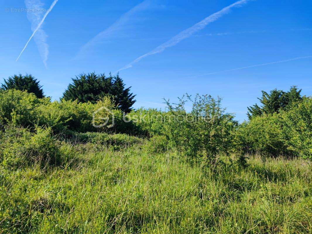 Terrain de loisir et arbres fruitiers de 5088 m² avec une belle vue - photo 3