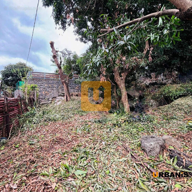 Terrain à SAINT-PAUL