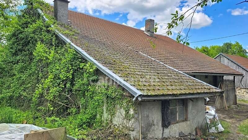 Maison à LA ROCHE-SUR-FORON