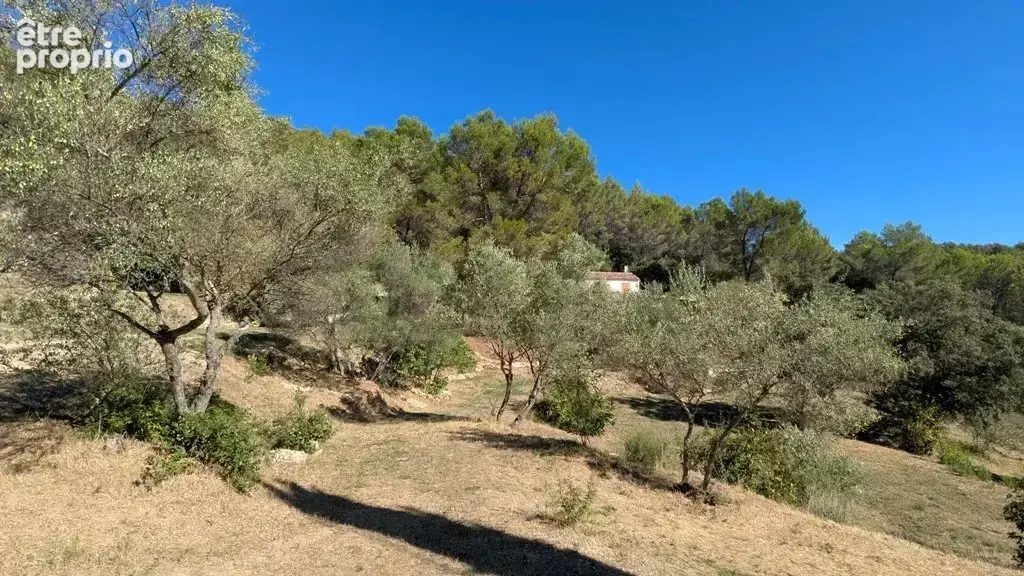 COTIGNAC: Viager occupé 1 Tête - photo 8