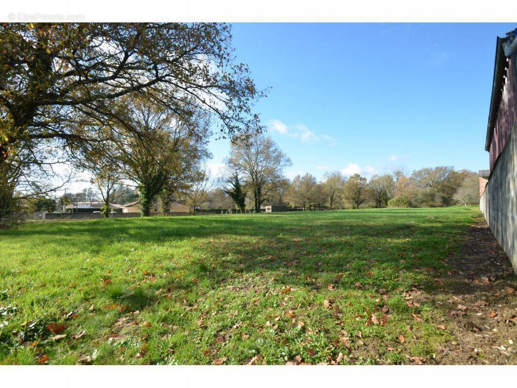 Terrain à PORCHERES