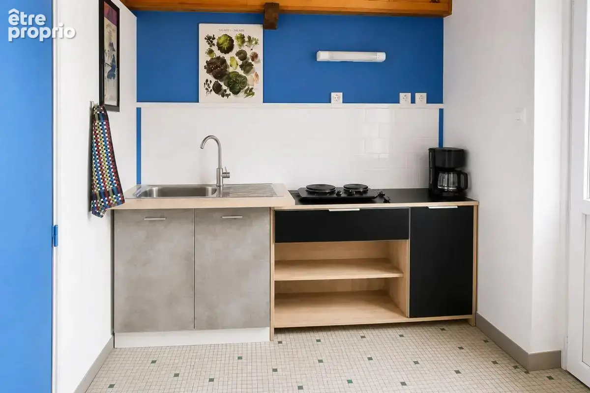 Le Châtelet - Propriété de caractère avec gîte indépendant 294m2 - photo 9