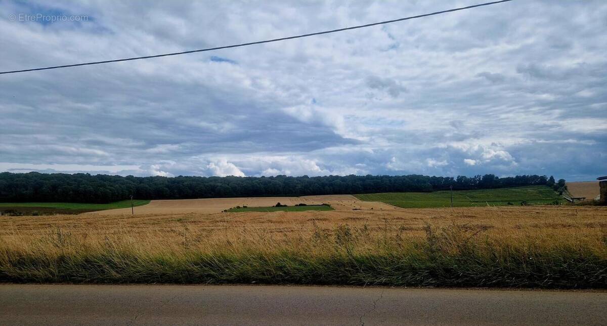 Photo 1 - Terrain à DONCOURT-LES-LONGUYON