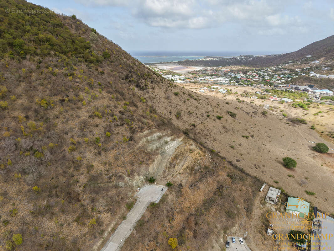 Exclusivité   2 parcelles vue mer - grand case - photo 14