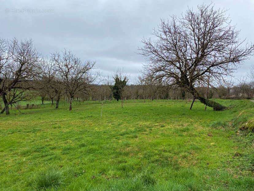Maison avec grange à Chourgnac 4 pièce(s) 85 m2 - photo 12
