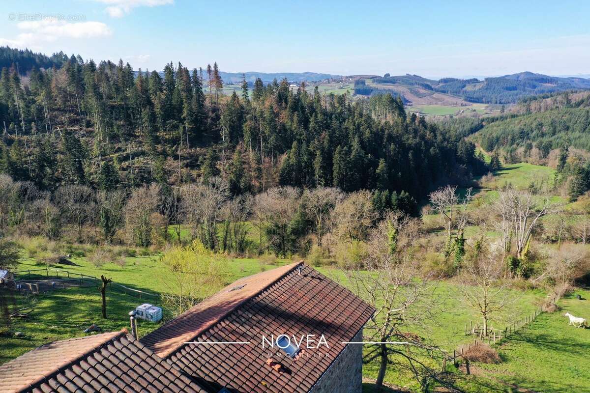 Maison à SAINT-IGNY-DE-VERS