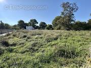 Terrain à LA CLISSE