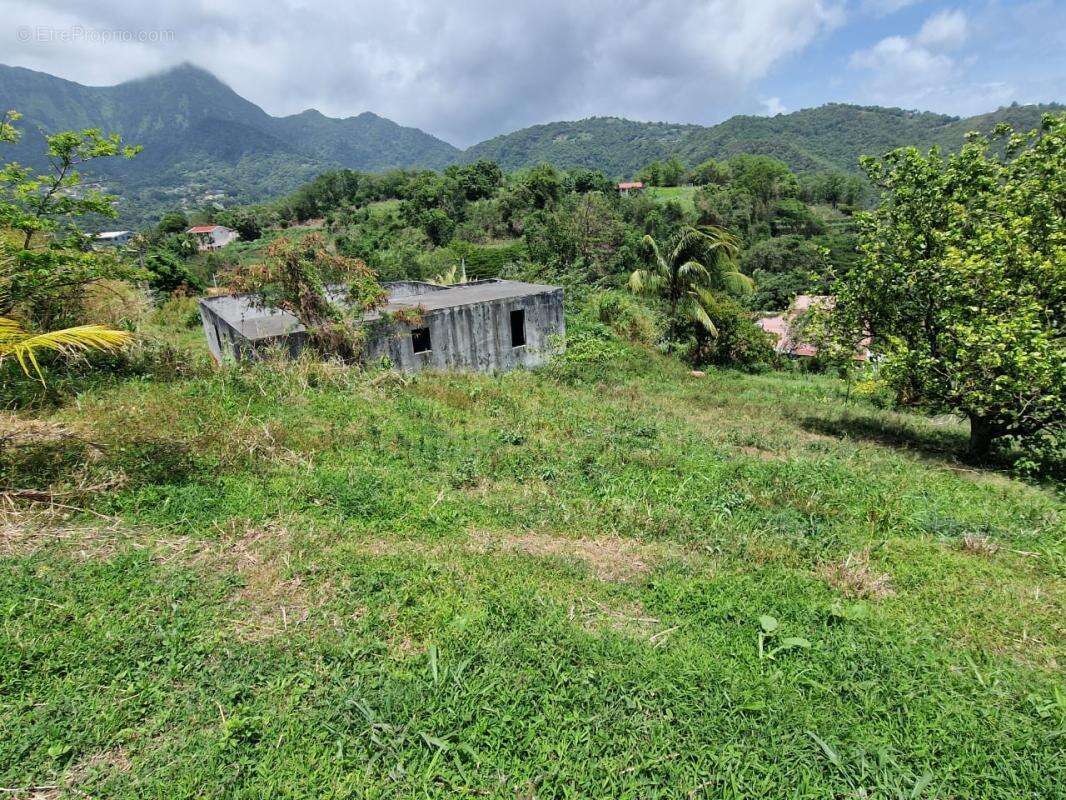 Terrain Le Morne Vert - photo 2