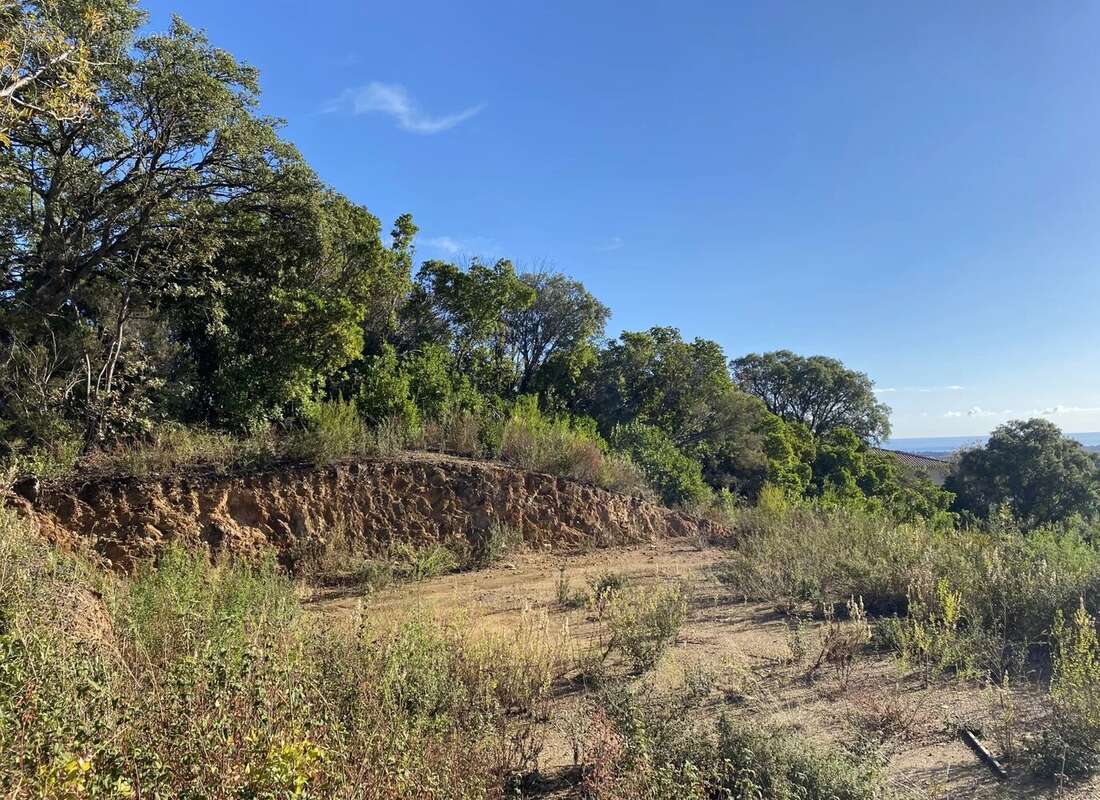 Terrain à PENTA-DI-CASINCA