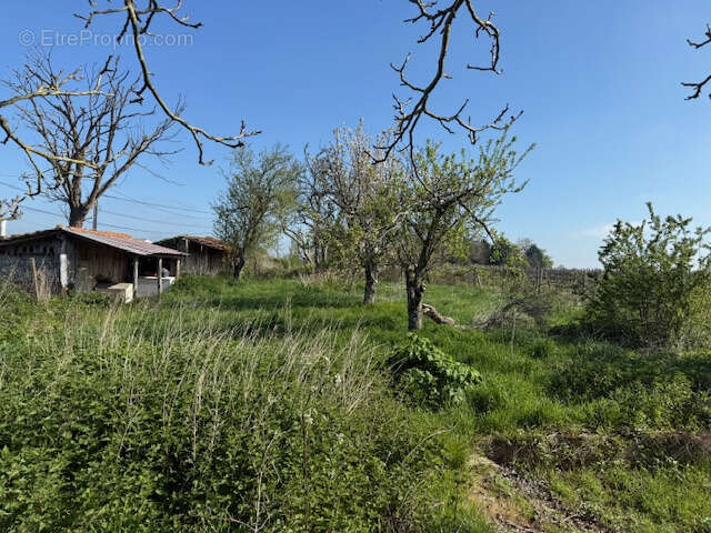 Maison à SAINT-THOMAS-DE-CONAC