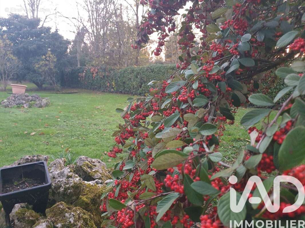 Photo 4 - Maison à BOE