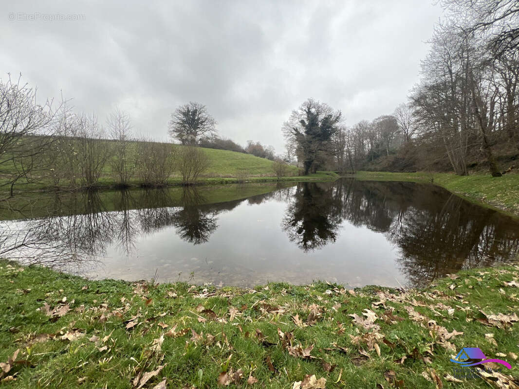 Terrain à SAINT-PRIEST-LA-MARCHE