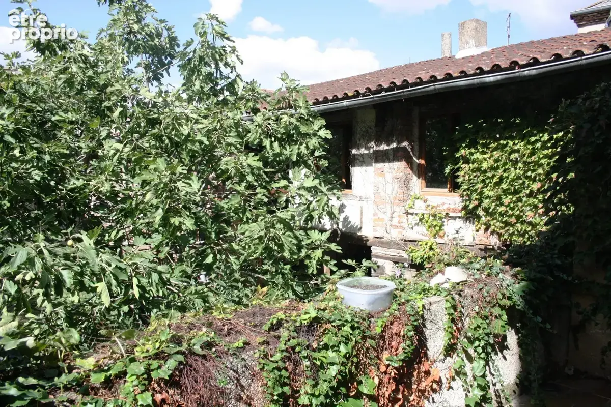 Maison 8 pièces 236 m² à vendre à Graulhet (81300) - photo 3