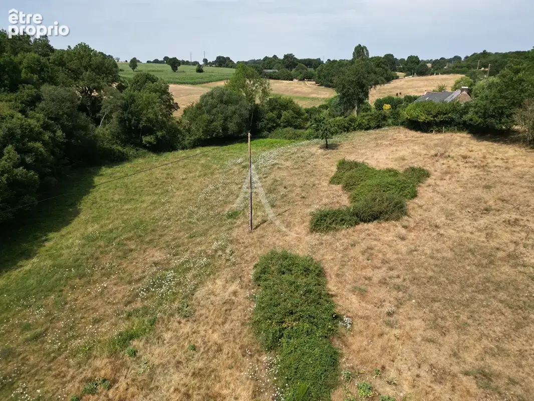 Terrain Loigne Sur Mayenne 23946 m2 - photo 11