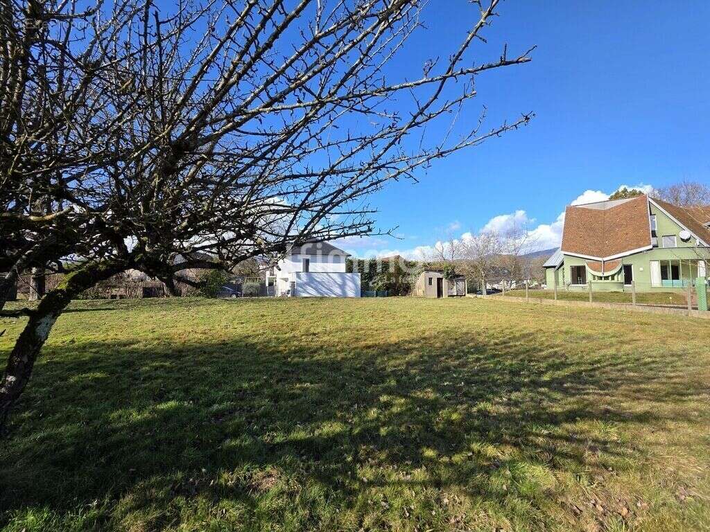 Terrain à ASPACH-LE-HAUT