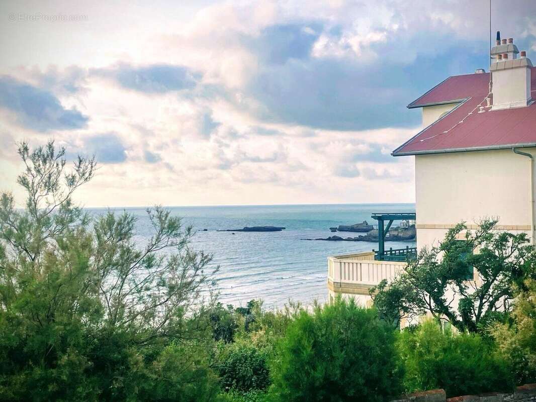 Face à l'océan - Maison de caractère dans l'un des plus beaux quartiers de Biarritz - photo 5